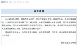 邯郸初中生杀人案最新爆料,惊人真相曝光，校园暴力背后的黑暗面